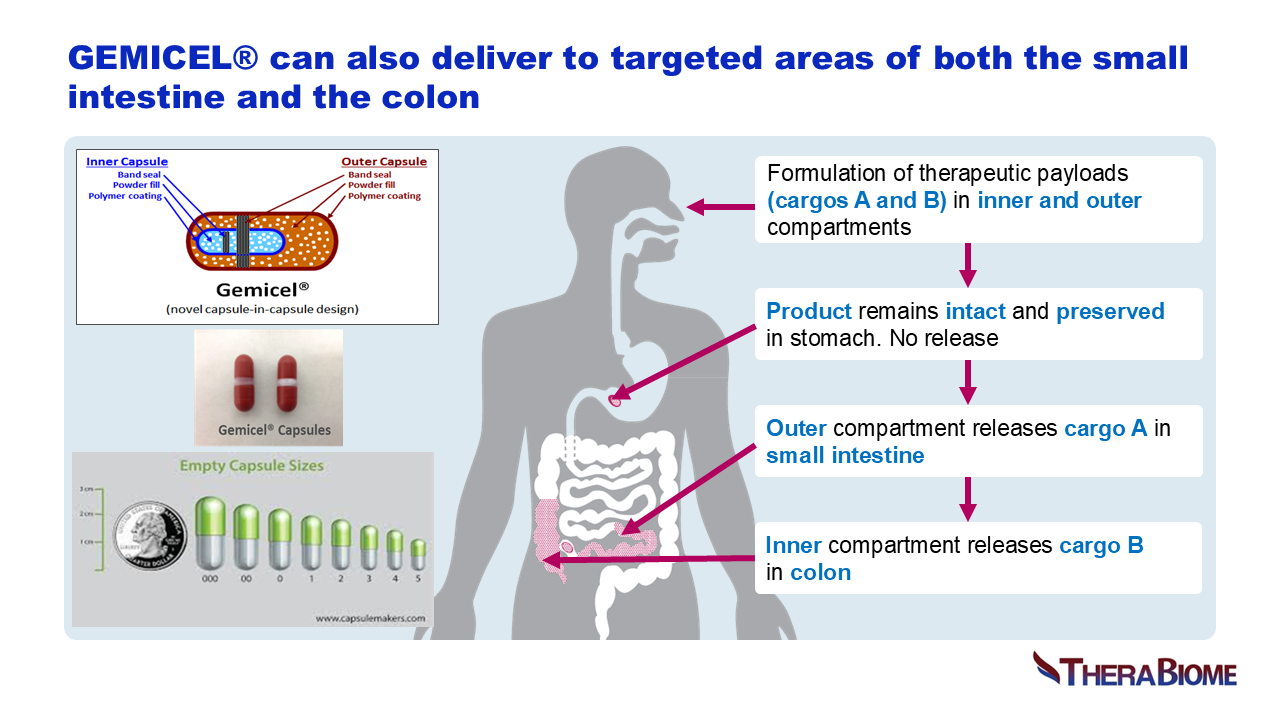 Formulation of therapeutic payloads. Cargos A and B. Inner and outer compartments. No release in stomach. Outer inner compartment release. 